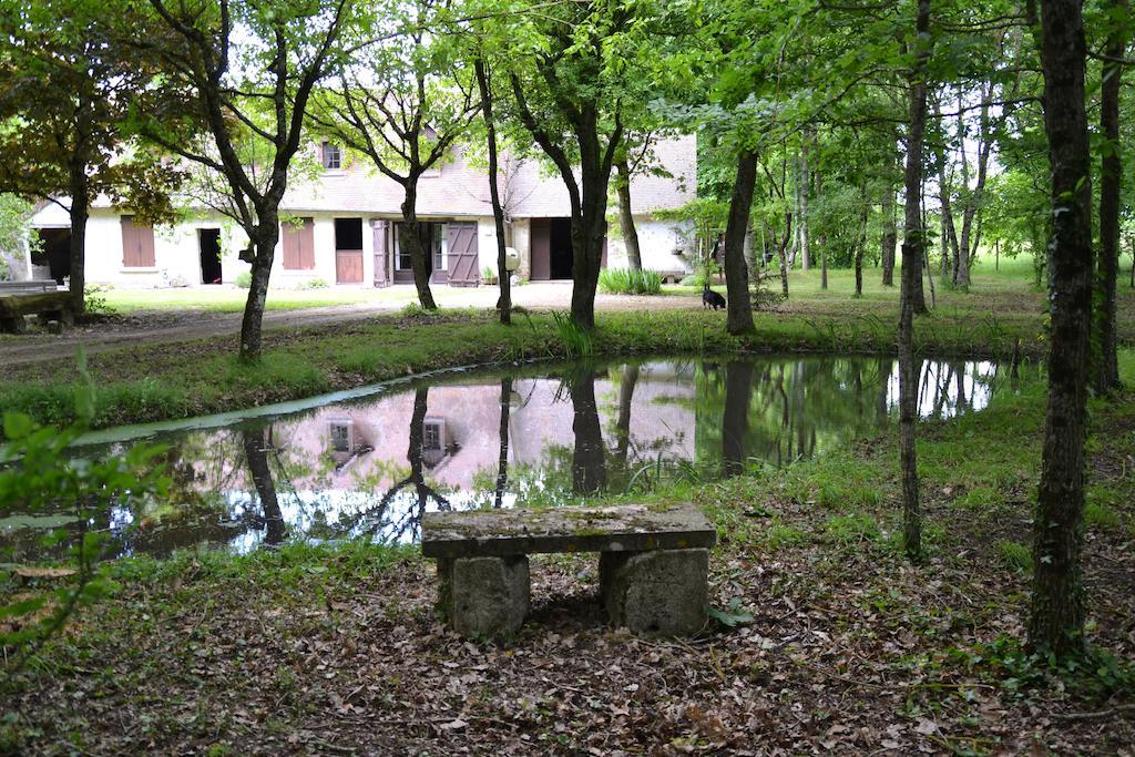 Gite De La Ronceraie Шомон-сюр-Луар Экстерьер фото